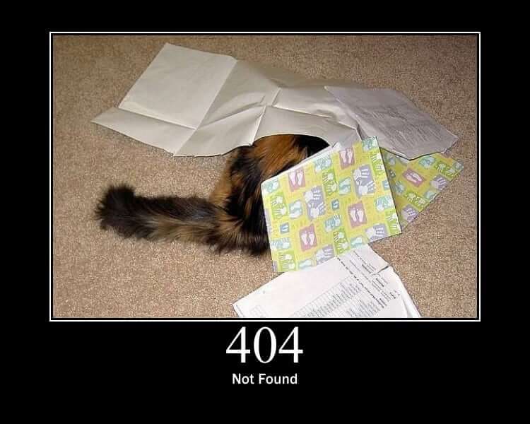 404 NOT FOUND
