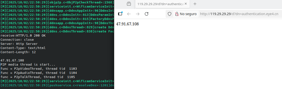 DNS Web query