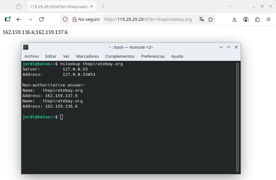 DNS custom Web query