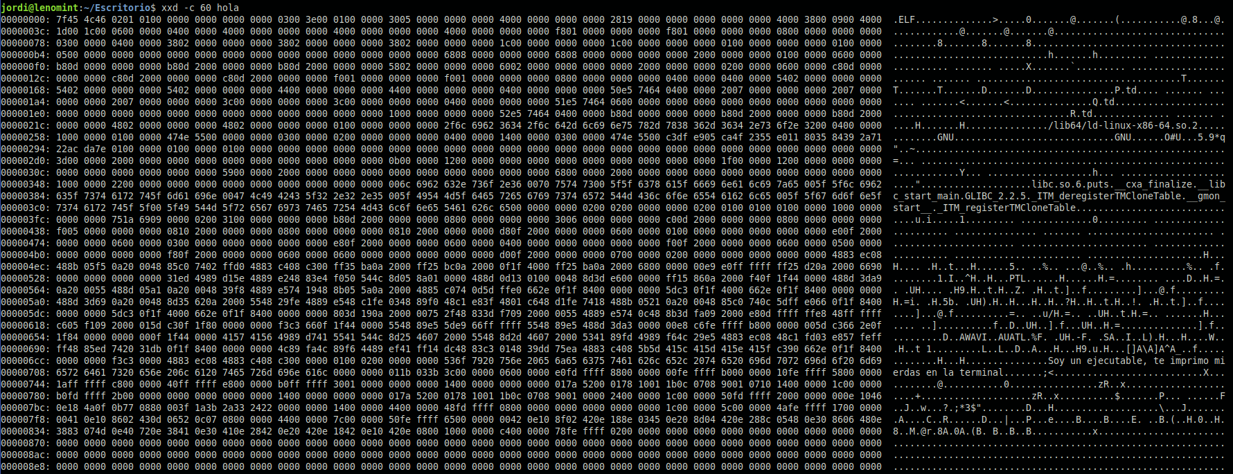 Comando xxd sobre fichero compilado ELF